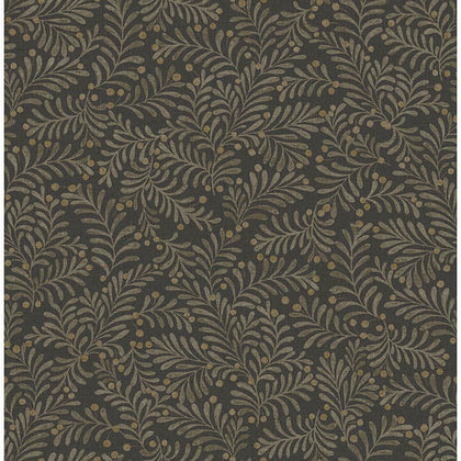 Chrysantha Black | Jeffrey Stevens