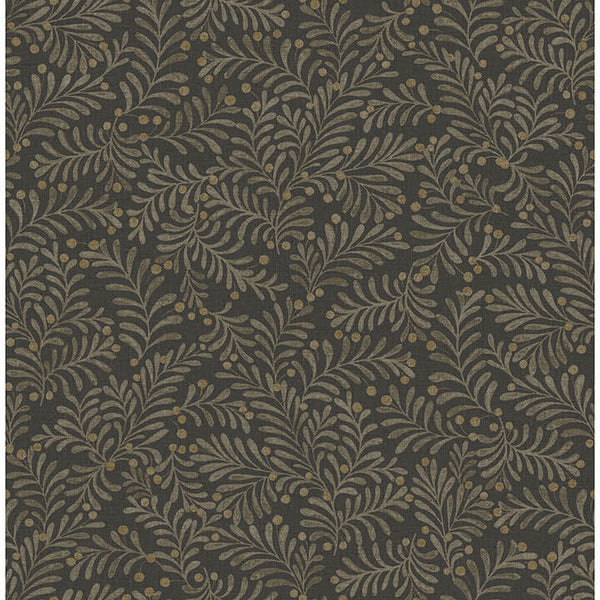 Chrysantha Black | Jeffrey Stevens