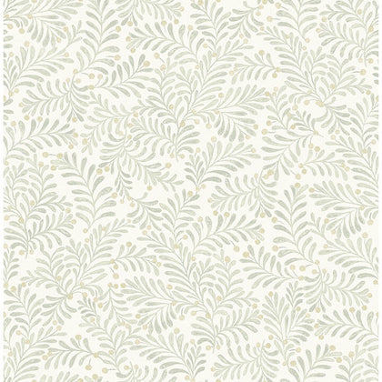 Chrysantha Sage | Jeffrey Stevens