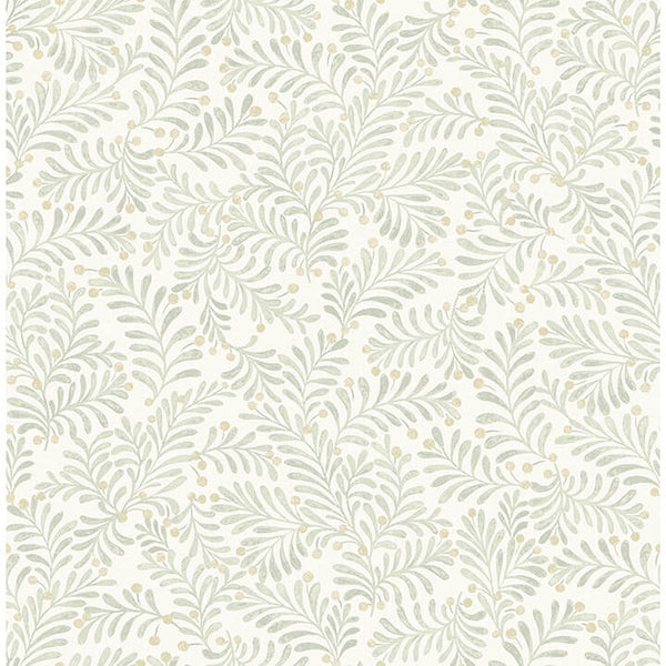 Chrysantha Sage | Jeffrey Stevens
