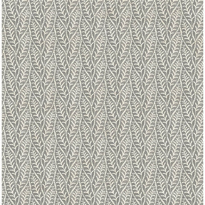 Coleus Charcoal | Jeffrey Stevens