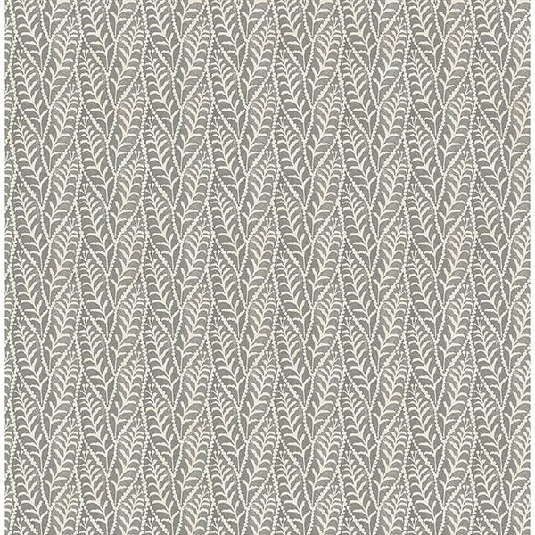 Coleus Charcoal | Jeffrey Stevens
