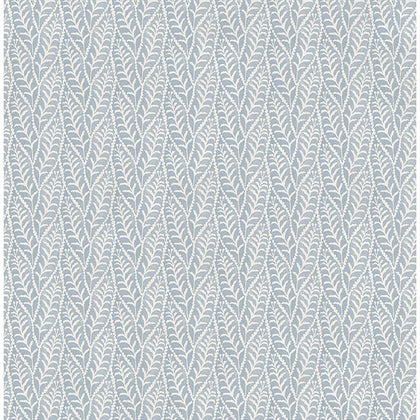 Coleus Blue | Jeffrey Stevens