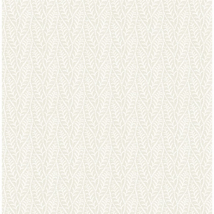 Coleus Beige | Jeffrey Stevens