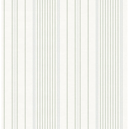 Navarres Stripe Light Green | Jeffrey Stevens