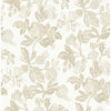 Beach Rose, Champagne