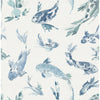 Koi, Blue