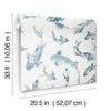 Koi, Blue