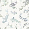 Koi, Seafoam
