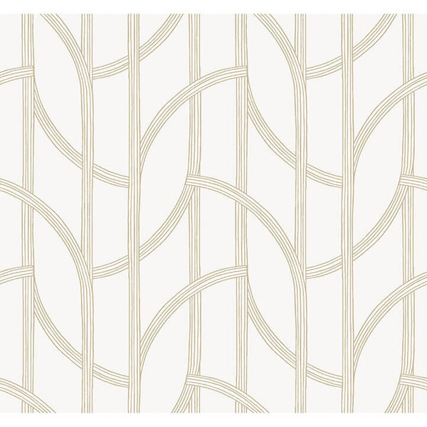 Salvo Gold | Jeffrey Stevens