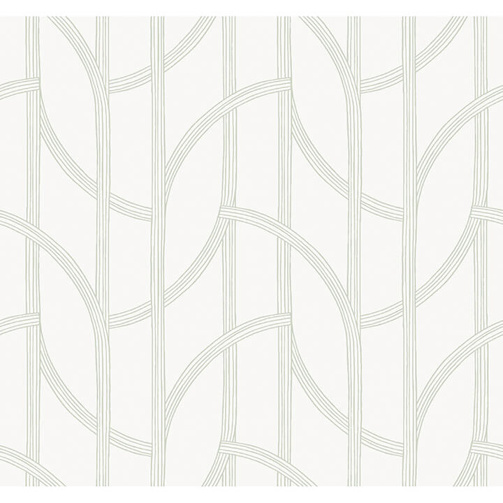Salvo, Ivory