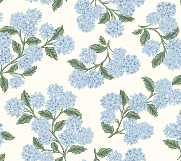 Hydrangea Blue & White | Jeffrey Stevens