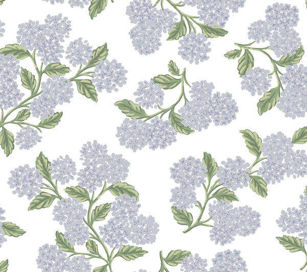 Hydrangea Lilac & White | Jeffrey Stevens