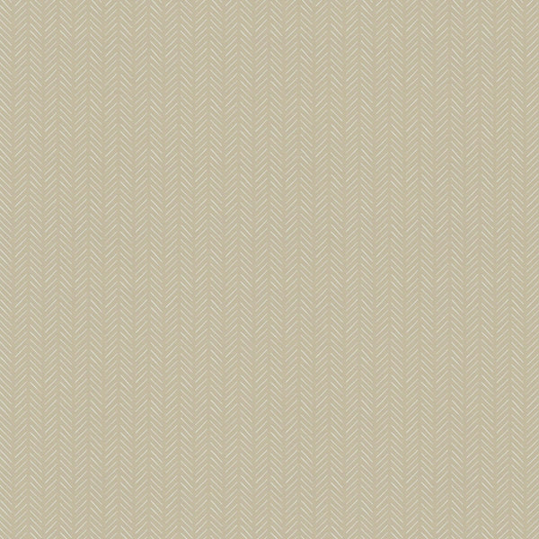 Stroll Parchment | Jeffrey Stevens