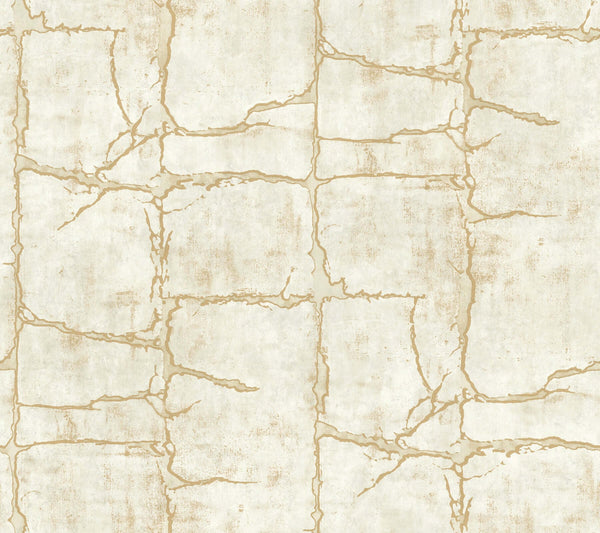 Mojave Gold | Jeffrey Stevens