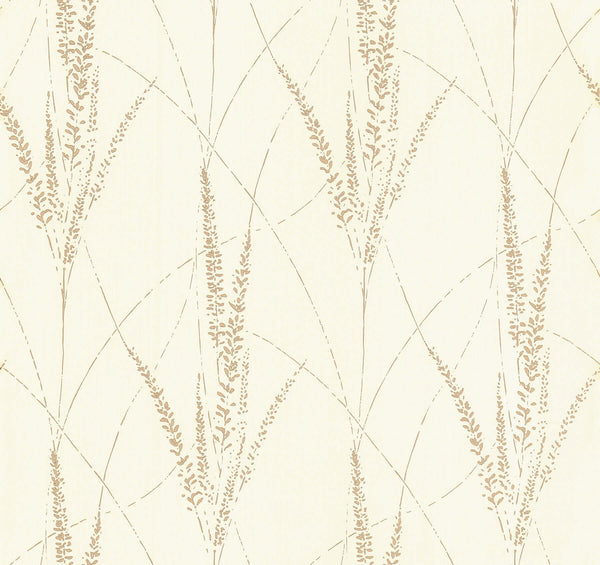 Graceful Willow Cotton | Jeffrey Stevens