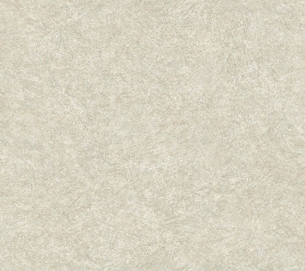 Impression Grey | Jeffrey Stevens