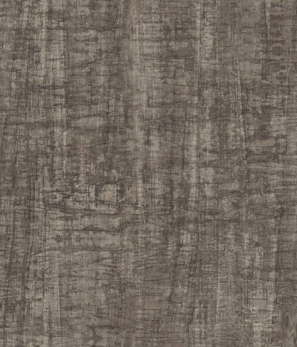Monteverde Black | Jeffrey Stevens