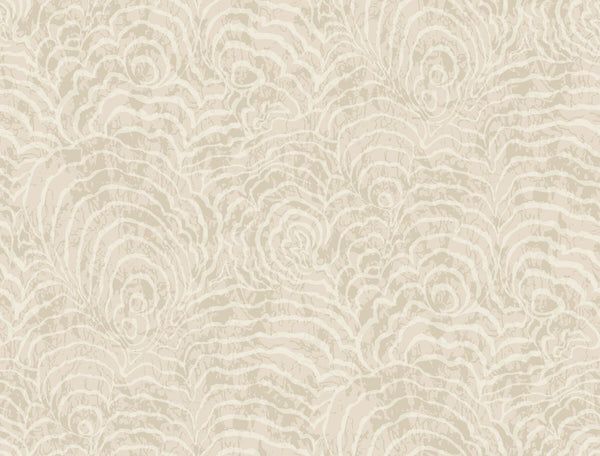 Ocean Jasper Beige | Jeffrey Stevens