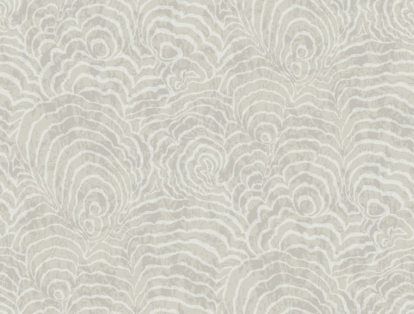 Ocean Jasper Grey | Jeffrey Stevens