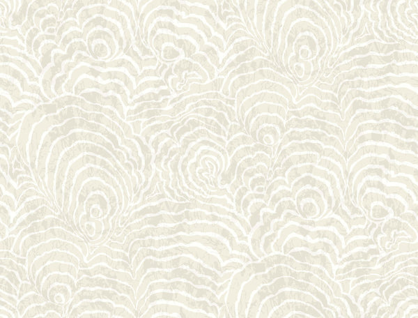 Ocean Jasper White | Jeffrey Stevens