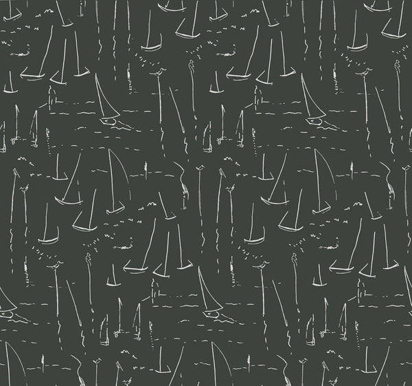 Vermillion Coast Carbon Black | Jeffrey Stevens