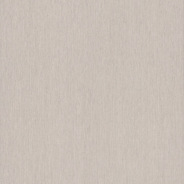 Lilah Dove Grey | Jeffrey Stevens