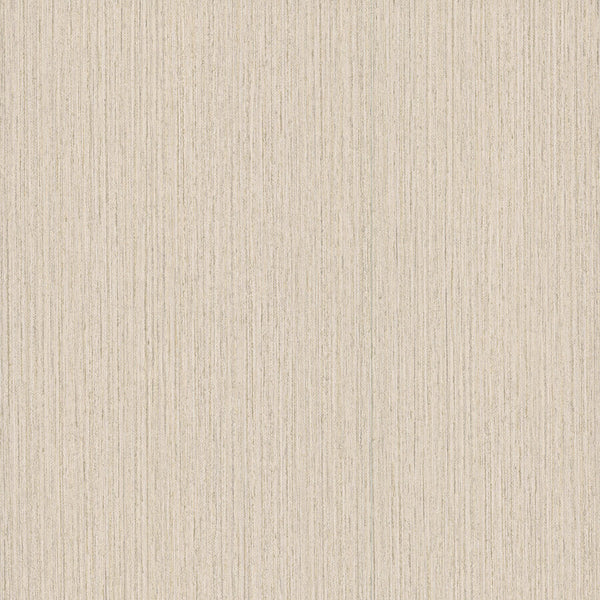 Shetland Sand | Jeffrey Stevens