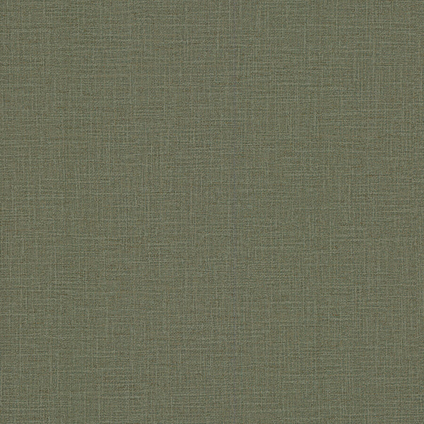 Loom Forest | Jeffrey Stevens