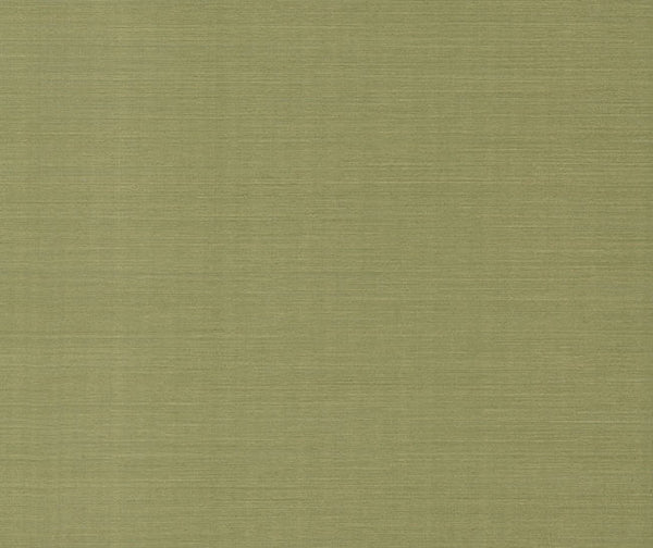 Maguey Sisal Sage | Jeffrey Stevens