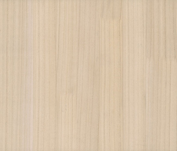 Wood Veneer Beech | Jeffrey Stevens