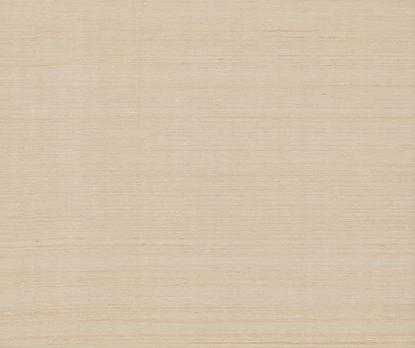 Smooth Abaca Milkweed | Jeffrey Stevens