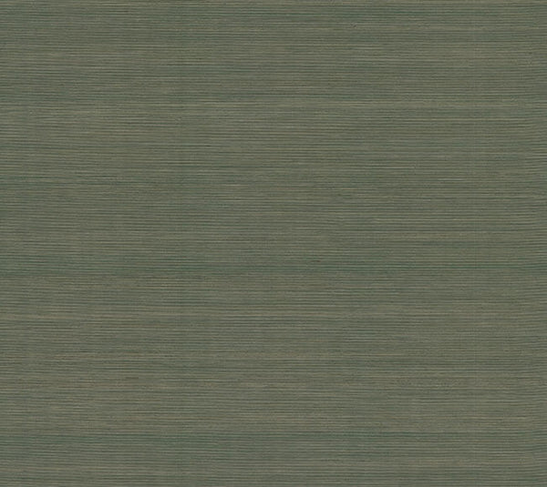 Smooth Abaca Forest | Jeffrey Stevens