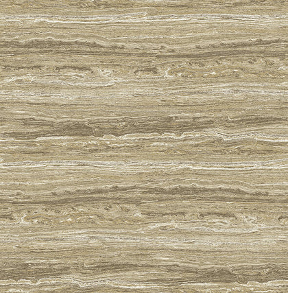 Lyman Neutral | Jeffrey Stevens