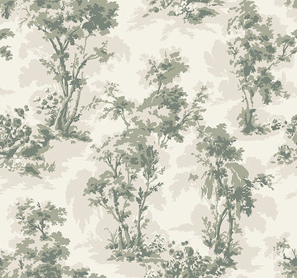 Sainsbury Sage | Jeffrey Stevens