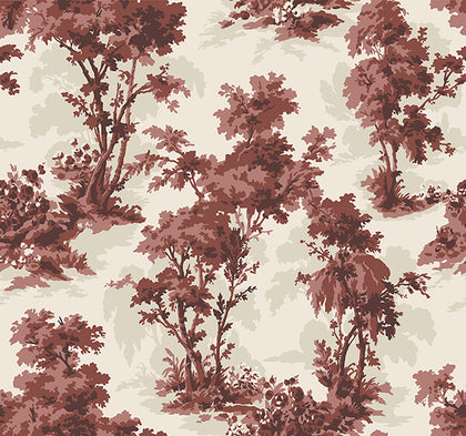 Sainsbury Ruby | Jeffrey Stevens