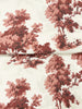 Sainsbury, Ruby