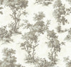 Sainsbury, Slate
