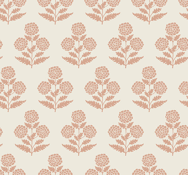 Souci Rose | Jeffrey Stevens