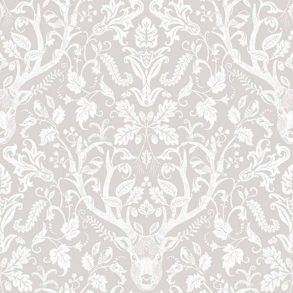 Kiwassa Grey | Jeffrey Stevens