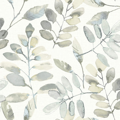 Pinnate Grey | Jeffrey Stevens