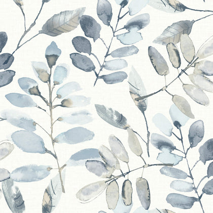 Pinnate Blue | Jeffrey Stevens