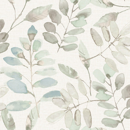 Pinnate Mint | Jeffrey Stevens