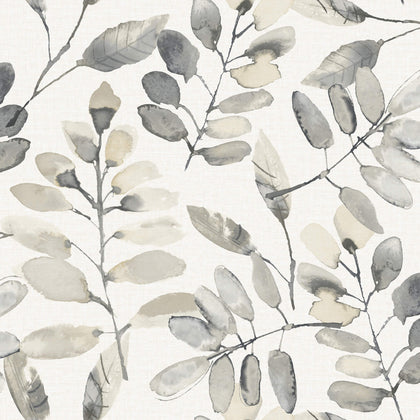 Pinnate Charcoal | Jeffrey Stevens