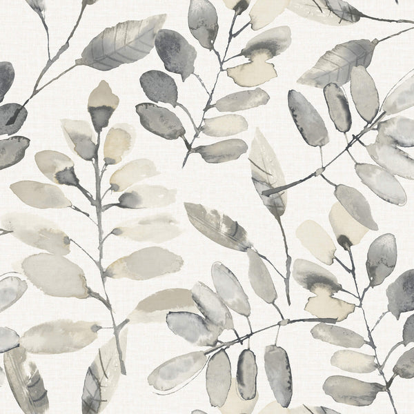 Pinnate Charcoal | Jeffrey Stevens