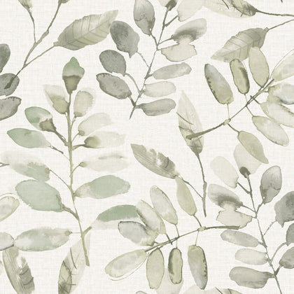 Pinnate Green | Jeffrey Stevens