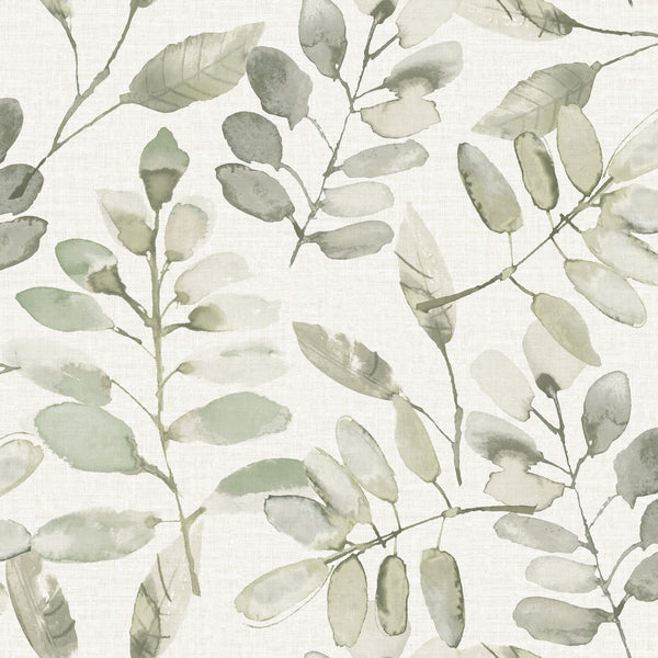 Pinnate Green | Jeffrey Stevens