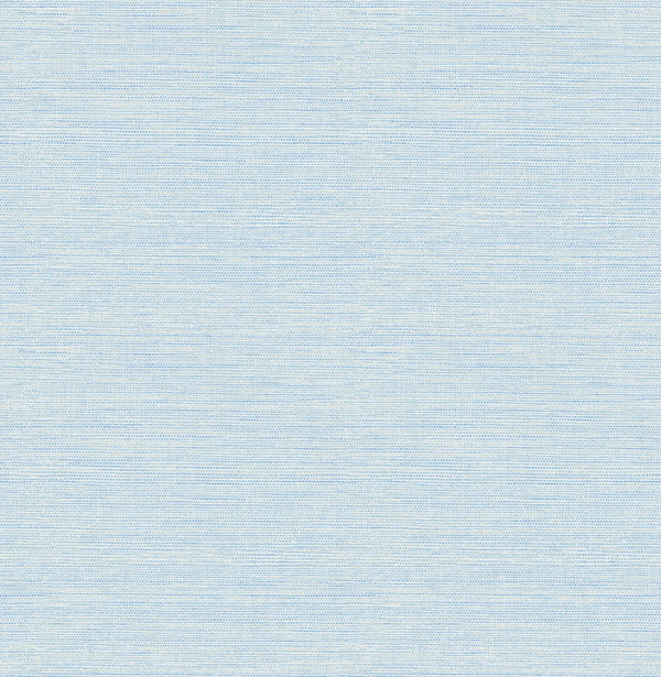 Agave Sky Blue | Jeffrey Stevens