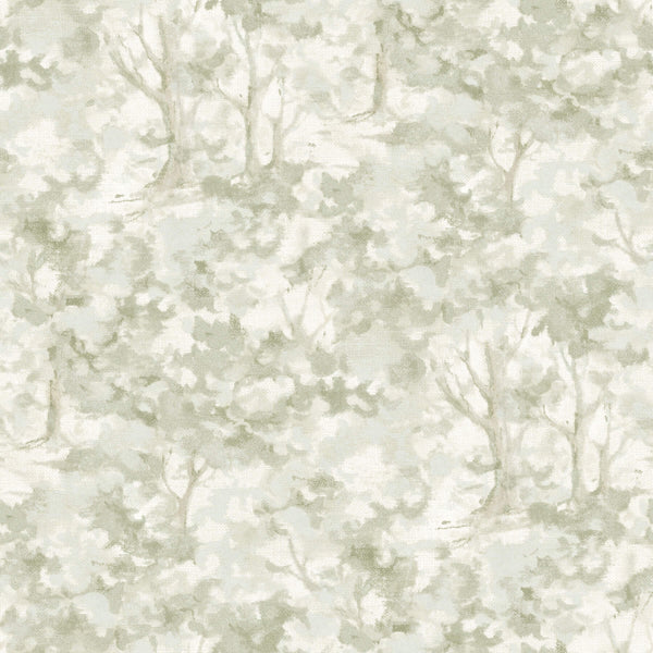 Thicket Sage | Jeffrey Stevens