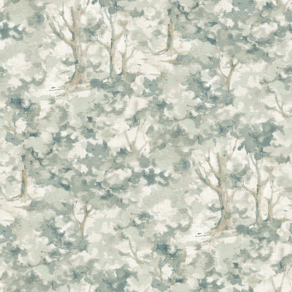 Thicket Teal | Jeffrey Stevens